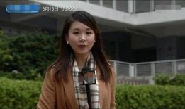 新闻爆料主播有哪些人物,新闻爆料中的知名主播风云录